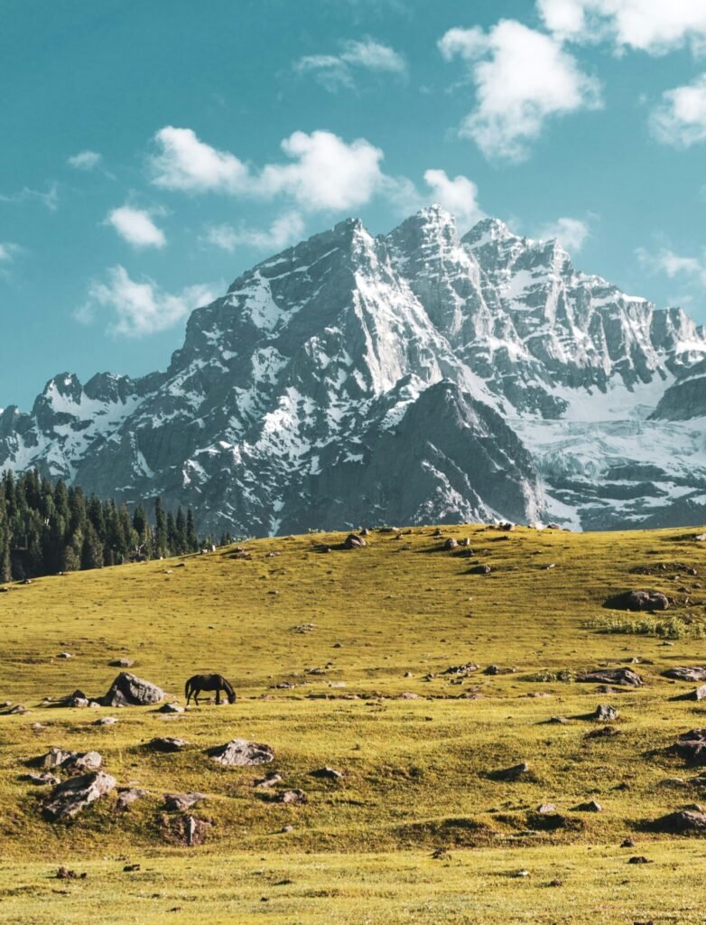akshat vats uicvnnegum4 unsplash