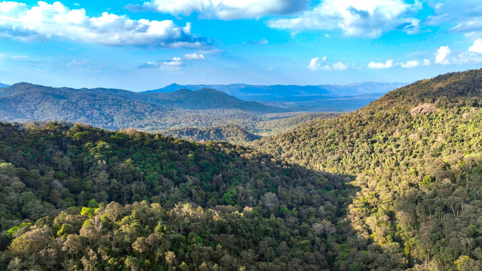 The Malnad Ultra pexels shootsaga 35652370
