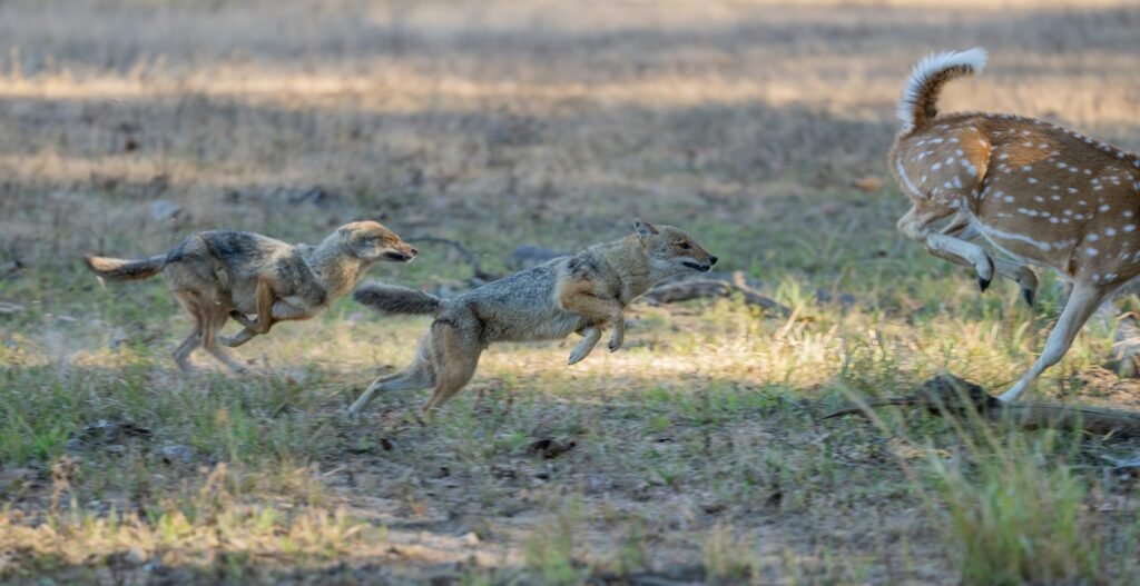 bob brewer hcjlfj66pik unsplash